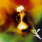 Abstract image of a glowing flower in a vase, surrounded by vibrant, dreamlike colors.