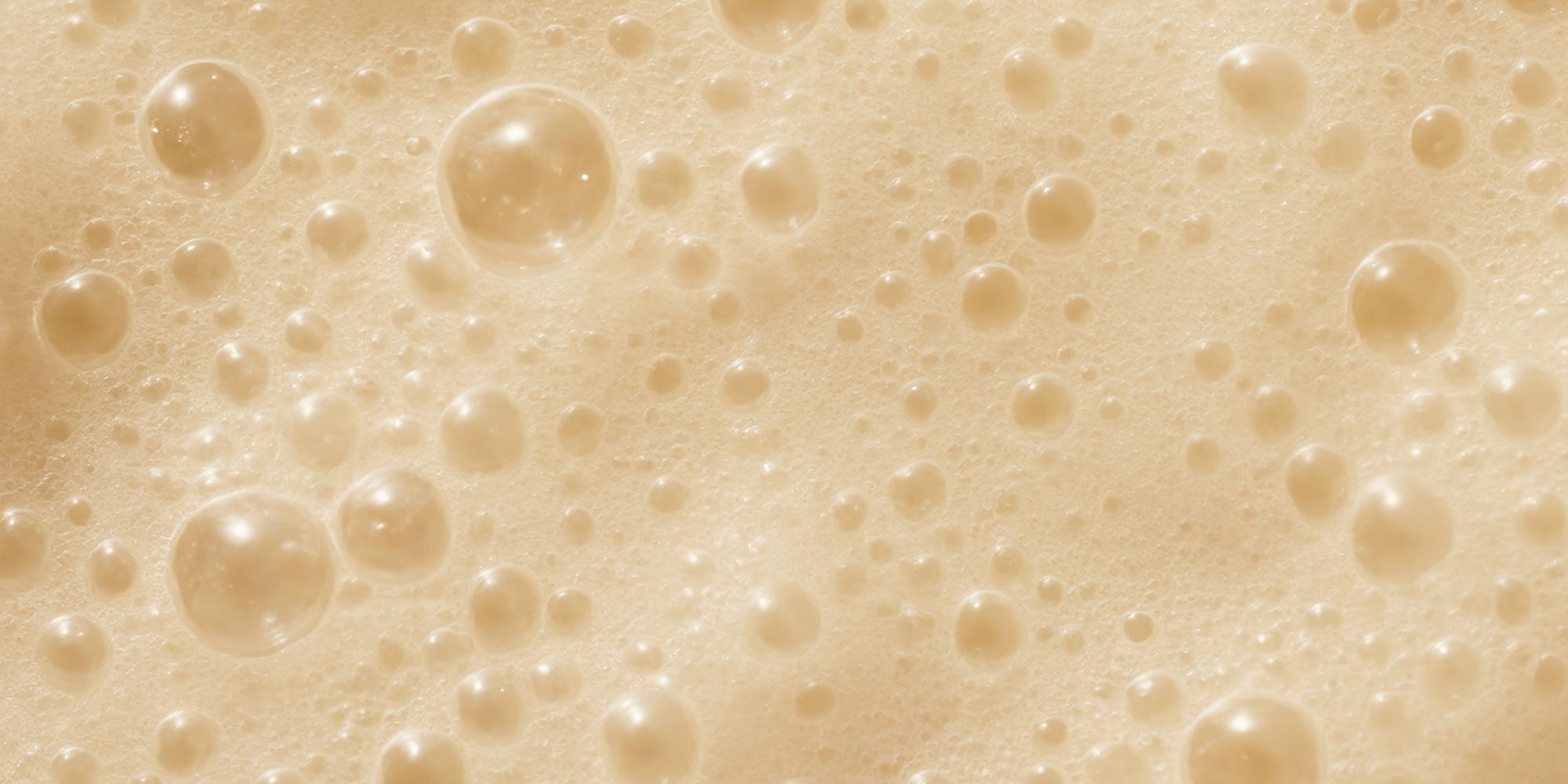 Bath and Shower Sponges