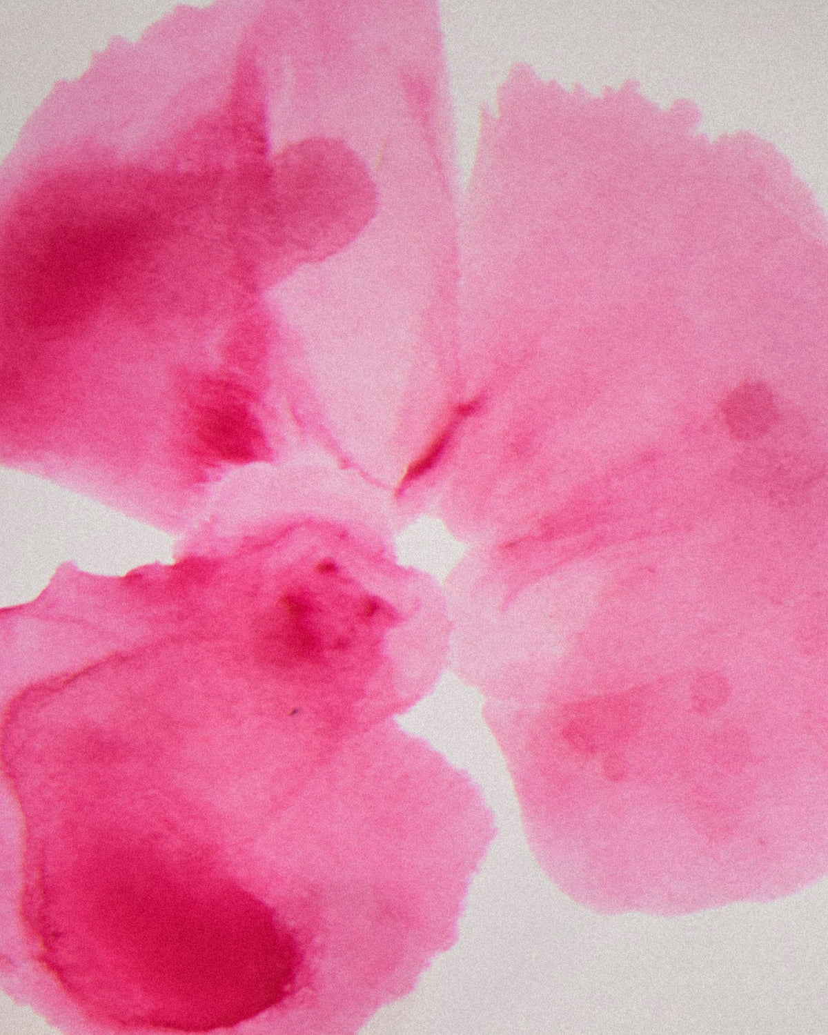 Scent guide Floral