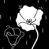 black and white flowers